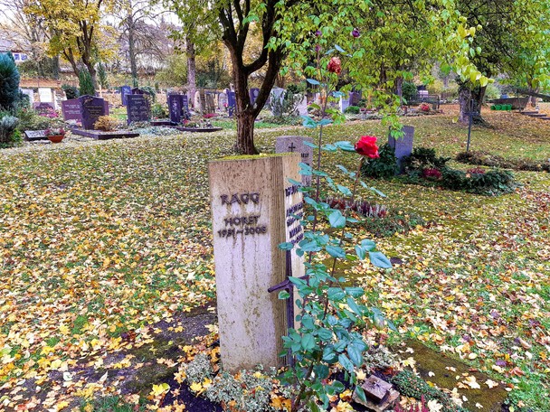 Friedhof Stuttgart-Botnang - frher von anderen Grbern umgeben, steht das Grab jetzt einsam da, gleichsam ein Monument sich ndernder Trauerkultur (Foto: Michael Ragg)