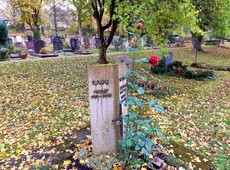 Trauern, spazieren, Kaffee trinken - Friedhöfe als heilsame Oasen: Friedhof Stuttgart-Botnang - früher von anderen Gräbern umgeben, steht das Grab jetzt einsam da, gleichsam ein Monument sich ändernder Trauerkultur (Foto: Michael Ragg)
