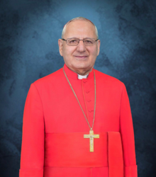 Kardinal Sako